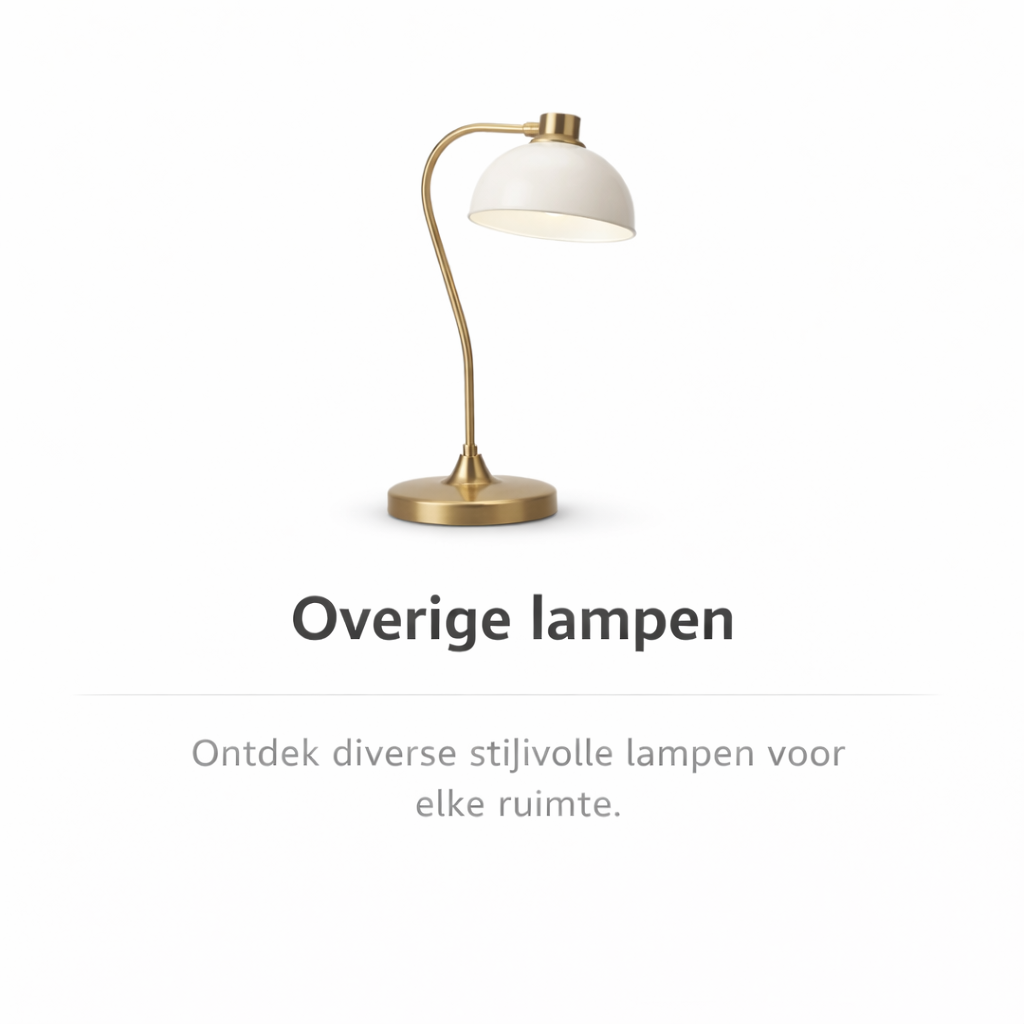 Overige lampen